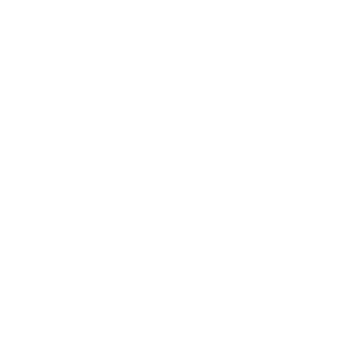 KOYIN logo